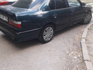 Nissan Primera foto 3