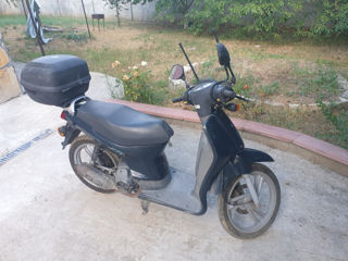 Honda Sh50 foto 2