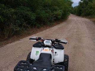 Boss ATV Hunter foto 5