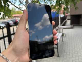 iPhone 12 Pro Max foto 5