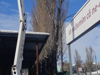 Compania Lift Up oferă în arendă autoturnuri/ автовышки.Calitatea 110% .Cele mai noi Mașini!!! foto 1