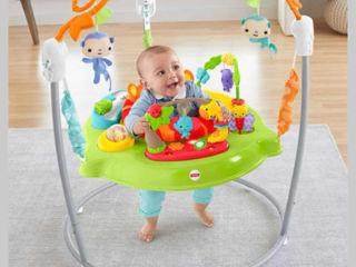 Прыгунки Fisher Price foto 2