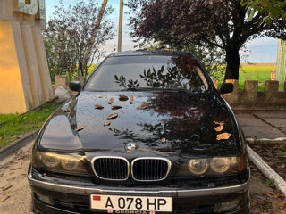 BMW 5 Series foto 3