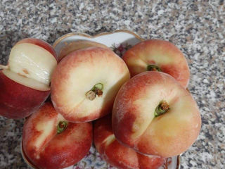 Pomi fructiferi Stenlei foto 1