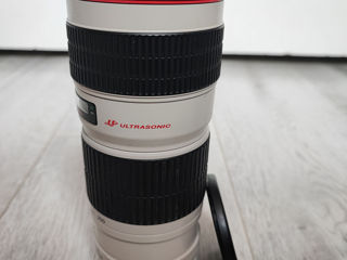 Canon 70-200mm F4