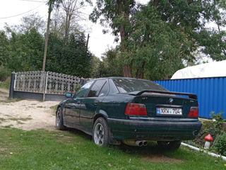 BMW 3 Series foto 5