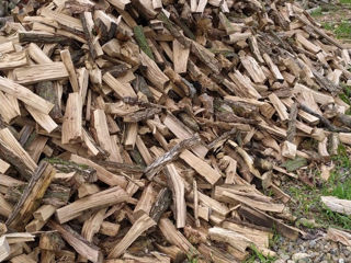 Дрова , lemne de foc, дрова с доставкой на дом,  дрова колотые foto 1