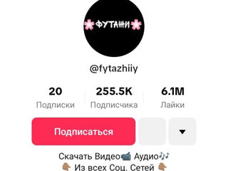 Profil de TikTok cu 255K abonați, 6.1M like-uri