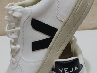 Veja V10