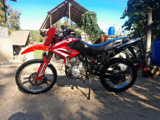 Viper Enduro foto 5