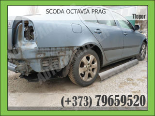 Prag BMW Mercedes Volkswagen Opel Ford Dacia Renault Nissan Isuzu Mitsubishi Suzuki Skoda Honda Fiat foto 9