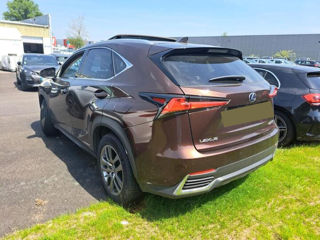 Lexus NX Series foto 3