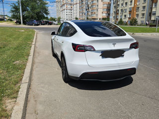 Tesla Model Y foto 3