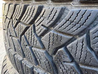 205/55 R16 Dunlop Iarna foto 3