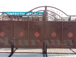 Balustrade, porți, garduri, gratii, copertine, uși metalice și alte confecții din fier.