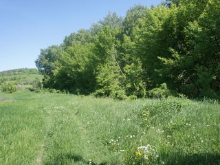 Участок возле леса,траса Кишинев-Оргеев. foto 3