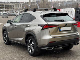 Lexus NX Series foto 8