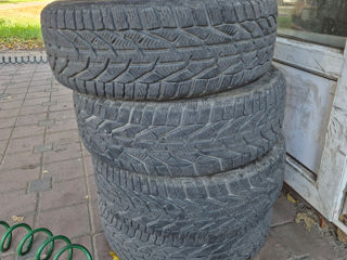 Vind cauciucuri de iarna 205/55 R16