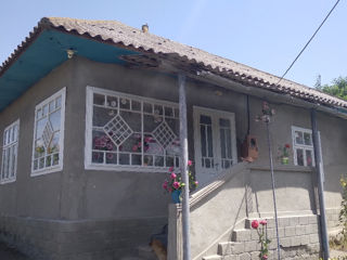 Дом  в  районе Бричаны село Ширеуцы, возле города Липкань. foto 2