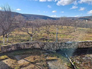 Casă în 2 nivele, garaj, saună, livadă, iaz. foto 13