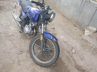 Viper Motoreta
