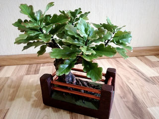 Vip cadou pentru barbati:iubit,tata,sef...Bonsai stejar din argila polimerica.. foto 3