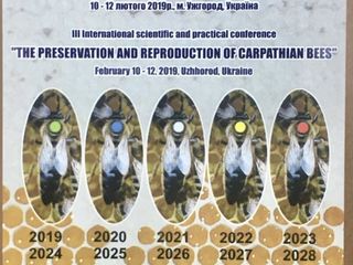 Regine Carpatca.  Carnica. Fecundate 2024 foto 3