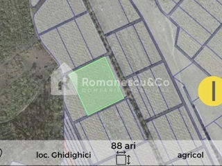 Vânzare teren agricol în com. Ghidighici, 88 ari.