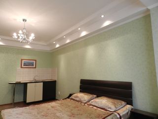 Apartament cu 1 cameră, 45 m², Centru, Chișinău, Chișinău mun.