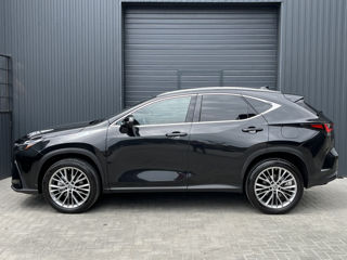 Lexus NX Series foto 4