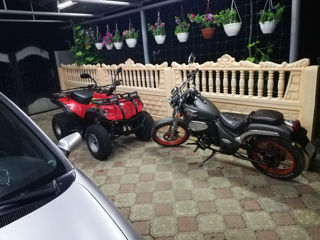 Motor ATV adly 320s foto 6