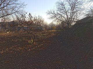 Vind casa, Verejeni ( Telenești ). foto 4