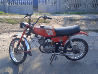 Delta Moto RMR24