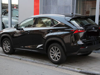 Lexus NX Series foto 4