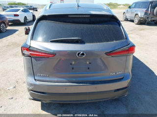 Lexus NX Series foto 6