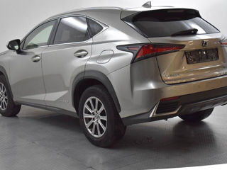 Lexus NX Series foto 3