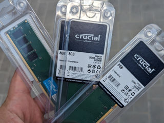 Crucial DDR4 8 GB 2400MHZ