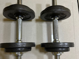 Gantere 20 kg foto 1
