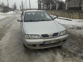 Nissan Primera foto 1