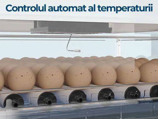 Promoție! Incubator /Инкубатор, автоповоротом яиц ms-130, 1600 lei MagShop.md foto 3
