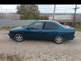 Nissan Primera foto 1