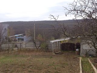 Condrita! Loc de odihna langa padure. Ideal pentru casa foto 3