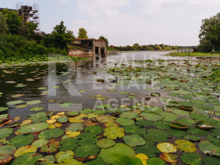 Casa cu piscina si iesire la lacul Snagov, 4 camere foto 5
