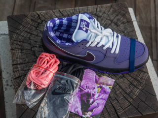 Nike SB Dunk Low Purple Lobster Unisex foto 3