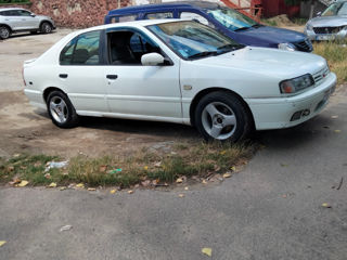 Nissan Primera foto 4