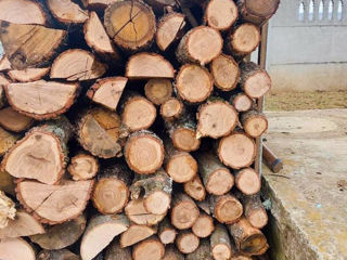 vînd lemn tare stejar tăiat gata de pus pe foc cu livrare gratis