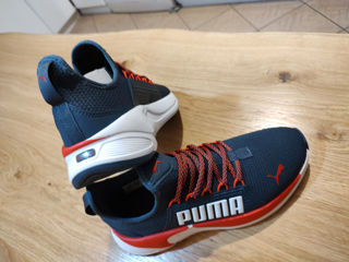 Puma foto 3