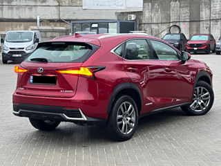 Lexus NX Series foto 5