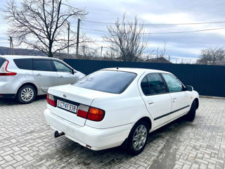 Nissan Primera foto 5