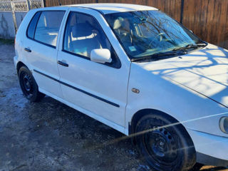 Volkswagen Polo foto 4